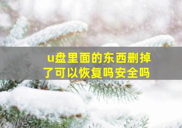 u盘里面的东西删掉了可以恢复吗安全吗