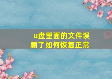 u盘里面的文件误删了如何恢复正常