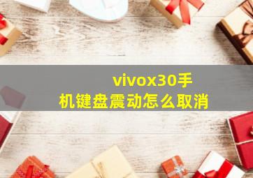 vivox30手机键盘震动怎么取消