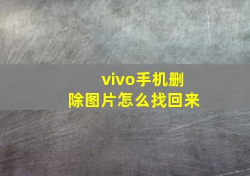 vivo手机删除图片怎么找回来