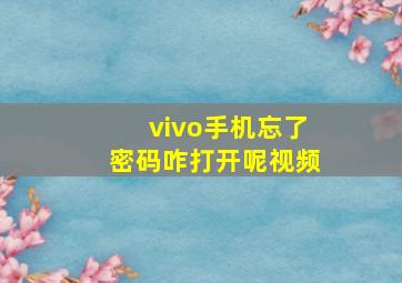 vivo手机忘了密码咋打开呢视频