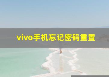 vivo手机忘记密码重置