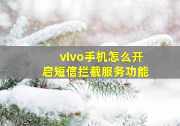 vivo手机怎么开启短信拦截服务功能