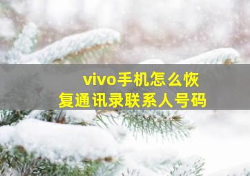 vivo手机怎么恢复通讯录联系人号码