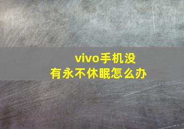 vivo手机没有永不休眠怎么办