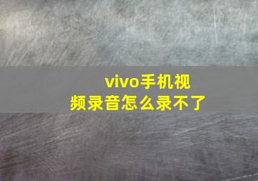 vivo手机视频录音怎么录不了