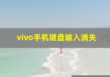 vivo手机键盘输入消失