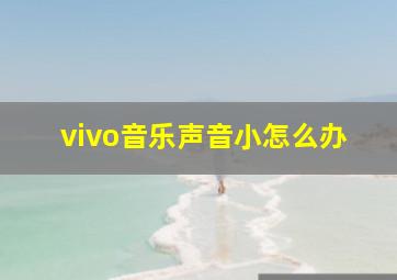 vivo音乐声音小怎么办