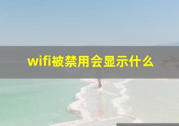 wifi被禁用会显示什么