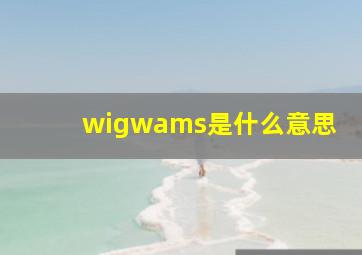 wigwams是什么意思