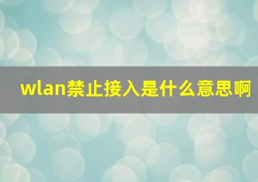 wlan禁止接入是什么意思啊