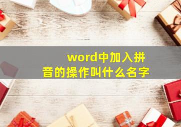 word中加入拼音的操作叫什么名字