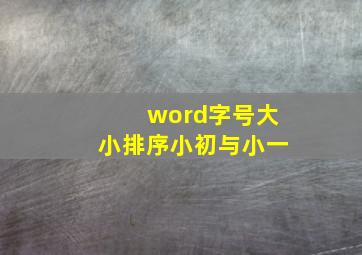 word字号大小排序小初与小一