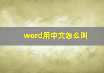 word用中文怎么叫