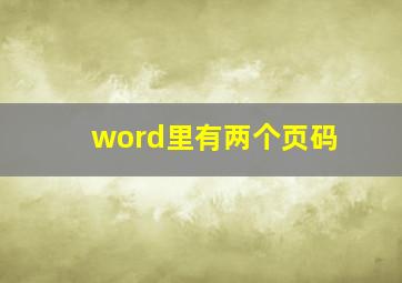 word里有两个页码