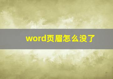 word页眉怎么没了