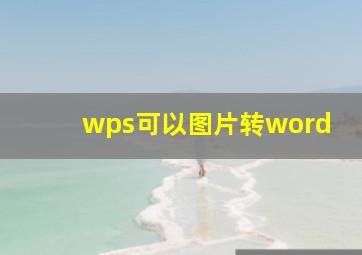 wps可以图片转word