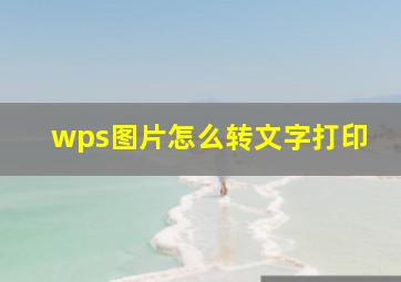 wps图片怎么转文字打印