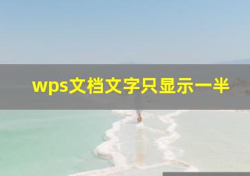 wps文档文字只显示一半