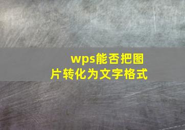 wps能否把图片转化为文字格式