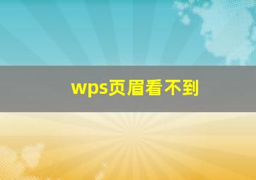 wps页眉看不到