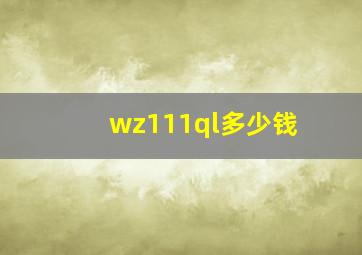 wz111ql多少钱