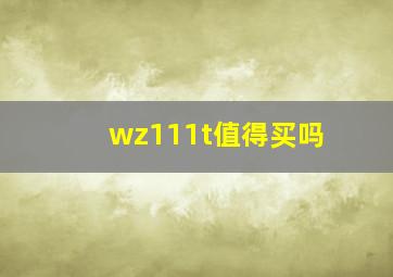 wz111t值得买吗