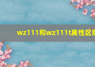 wz111和wz111t属性区别