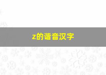 z的谐音汉字