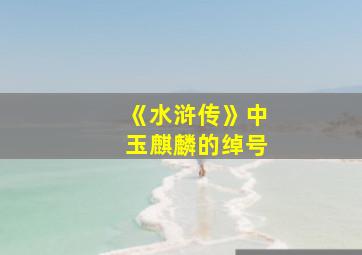 《水浒传》中玉麒麟的绰号