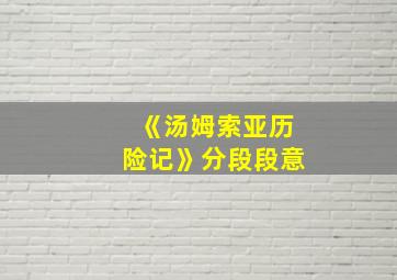 《汤姆索亚历险记》分段段意