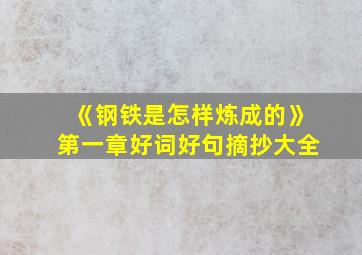 《钢铁是怎样炼成的》第一章好词好句摘抄大全