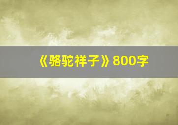 《骆驼祥子》800字