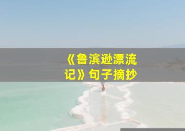 《鲁滨逊漂流记》句子摘抄