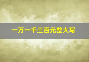 一万一千三百元整大写