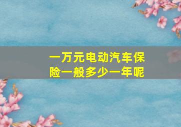 一万元电动汽车保险一般多少一年呢