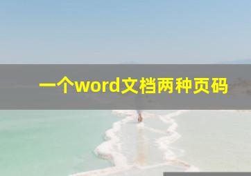 一个word文档两种页码