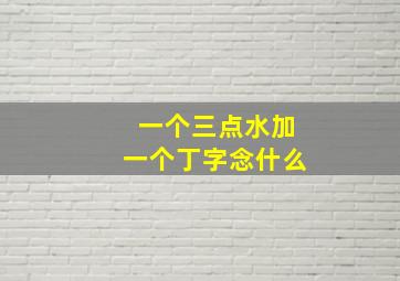 一个三点水加一个丁字念什么