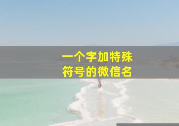 一个字加特殊符号的微信名