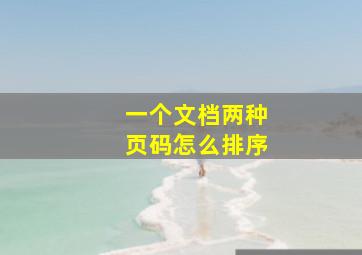 一个文档两种页码怎么排序