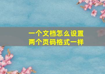 一个文档怎么设置两个页码格式一样