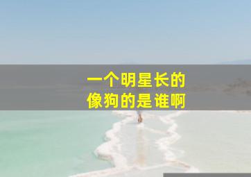 一个明星长的像狗的是谁啊