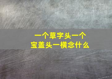 一个草字头一个宝盖头一横念什么