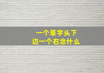 一个草字头下边一个右念什么