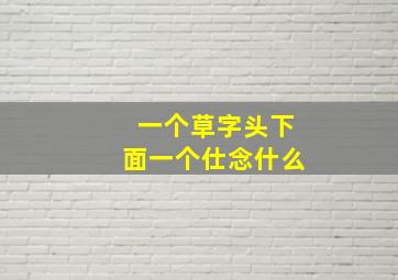 一个草字头下面一个仕念什么