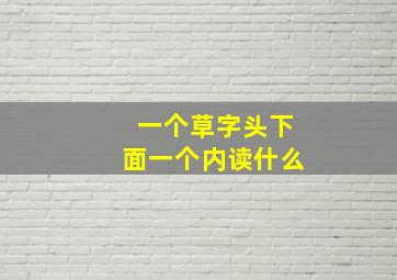 一个草字头下面一个内读什么