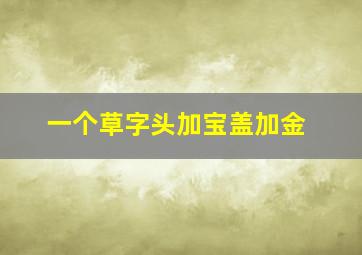 一个草字头加宝盖加金