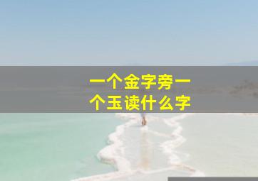 一个金字旁一个玉读什么字