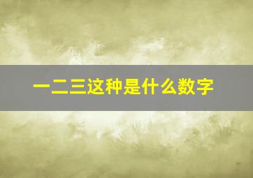 一二三这种是什么数字