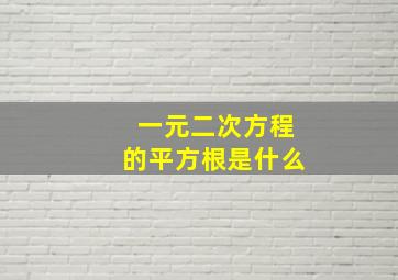 一元二次方程的平方根是什么